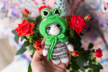 Knitted toy cat with a toad cap on a white background - 743656977
