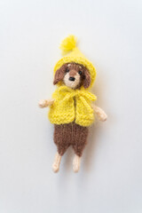 Knitted toy dachshund dog with a toad cap on a white background