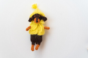 Knitted toy dachshund dog with a toad cap on a white background - 743657138