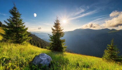 fir tree and stone in the grass on hillside of mountain range with sun and moon on the sky day and night time change concept mysterious nature landscape in morning light at summer solstice - Powered by Adobe