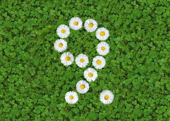 number written with daisies (bellis perennis) on green clover © Andreas