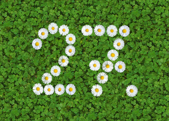 number written with daisies (bellis perennis) on green clover © Andreas