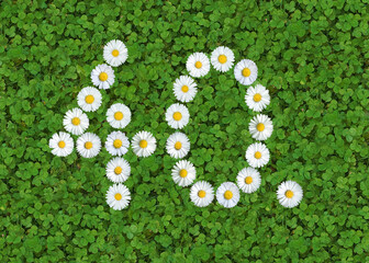 number written with daisies (bellis perennis) on green clover © Andreas