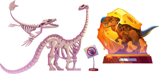 Set of dinosaur skeletons isolated on white background. Vector cartoon illustration of dino bones on wooden stand, no touch warning sign, history museum exhibition kit, remains of ancient animals © klyaksun