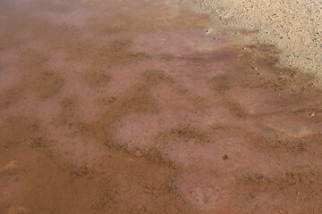 thetis lake in cervantes in australia
