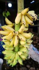 bunch of banana hang on traditional market stall for sale