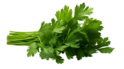 Parsley herb isolated on white or transparent background. Full depth of field. PNG