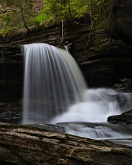 Obraz premium waterfall in the woods