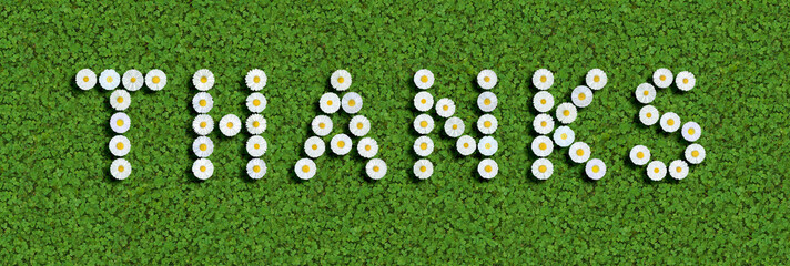 words written with daisies (Bellis Perennis) on green clover © Andreas