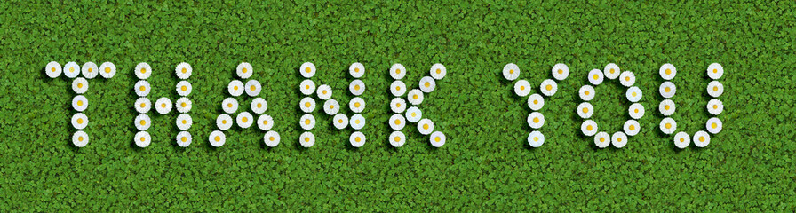 words written with daisies (Bellis Perennis) on green clover © Andreas