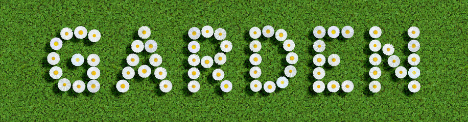 words written with daisies (Bellis Perennis) on green clover © Andreas