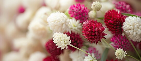 A bunch of red and white flowers arranged in a vase, showcasing the vibrant colors of Kung Yee Globe and Amaranth blooms in a captivating fusion.
