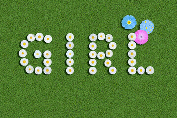 words written with daisies (Bellis Perennis) on green clover