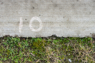 Concrete area with the number 10 and lawn with wild plants