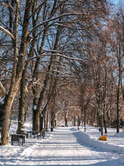 Alley in a city park in winter