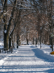 Alley in a city park in winter