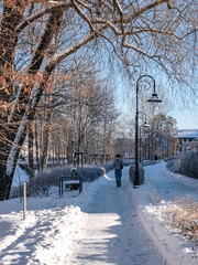 Beautiful alley in the park near the river in winter