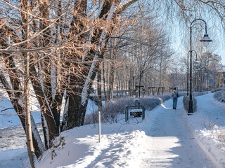 Beautiful alley in the park near the river in winter