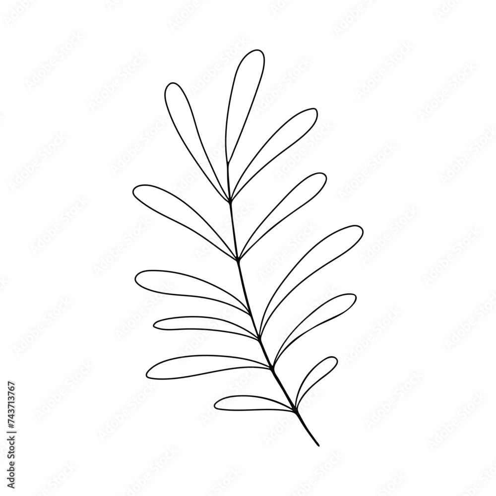 Wall mural foliage line art design for wedding, card, invitation, greeting