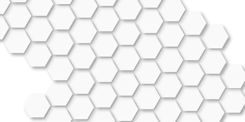 Abstract White Hexagonal Background. Luxury White Pattern. Vector Illustration. Surface polygon pattern with digital hexagon and futuristic business.