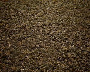Worn out rough tarmac of a street.