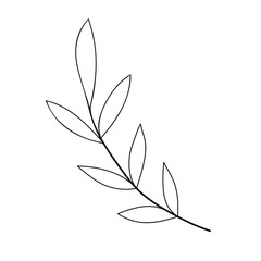 Hand sketched floral design element