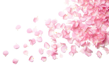 Fototapeta na wymiar Scattered Pink Rose Petals on White Background