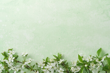 Spring Easter background. Passover blooming white apple or cherry blossom on green background....