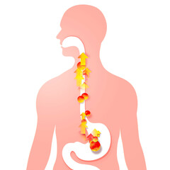 3d illustration of esophagus with gastric reflux and heartburn. With arrows and circles of fire upward. Digestive system and human silhouette on white background.