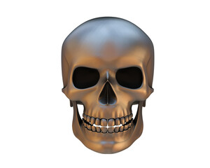 Skull isolated on background. 3d rendering - illustration