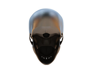 Skull isolated on background. 3d rendering - illustration