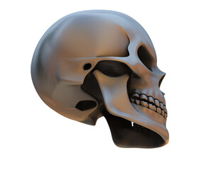 Skull isolated on background. 3d rendering - illustration