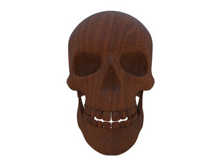 Skull isolated on background. 3d rendering - illustration