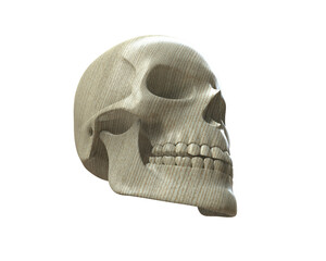 Skull isolated on background. 3d rendering - illustration
