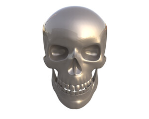 Skull isolated on background. 3d rendering - illustration