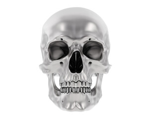 Skull isolated on background. 3d rendering - illustration