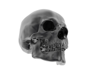 Skull isolated on background. 3d rendering - illustration