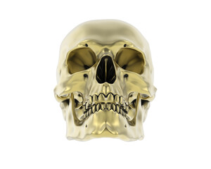 Skull isolated on background. 3d rendering - illustration
