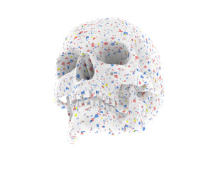 Skull isolated on background. 3d rendering - illustration
