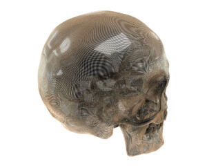 Skull isolated on background. 3d rendering - illustration