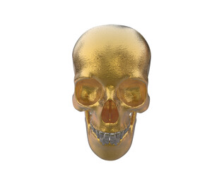 Skull isolated on background. 3d rendering - illustration