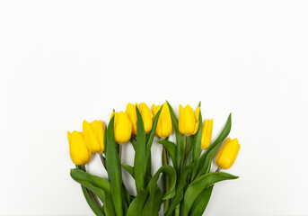 Top view of yellow tulips on white background. Spring colourful composition. Flowers bouquet flat lay, copy space.