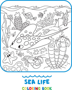 Sea theme. Stingray coloring book. Kids vector