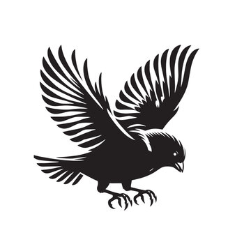 recommend clip art: sparrow silhouette tattoo,sparrow silhouette flying ,sparrow silhouette pictures ,jack sparrow silhouette 