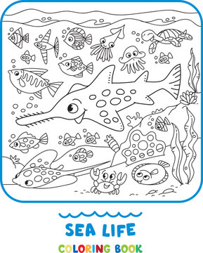 Sea theme. Sawfish coloring book. Kids vector