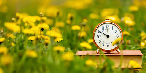 Alarm clock in the flowers. Spring forward, springtime or daylight savings time banner. - 743739100