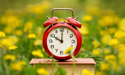 Alarm clock in the flowers. Spring forward, springtime or daylight savings time background. - 743739103