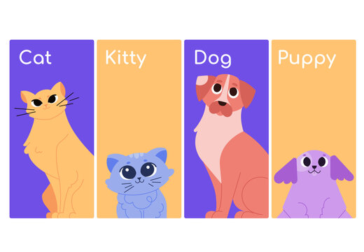 Selection screen on the website. Cat, kitten, dog or puppy. Pet store, animal shelter, choosing a fluffy friend. Vector flat illustration.