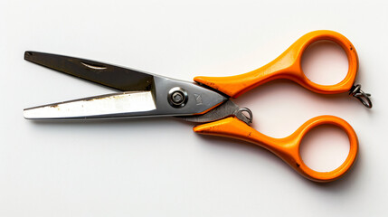 Gardening scissors. Pruner on a white background.