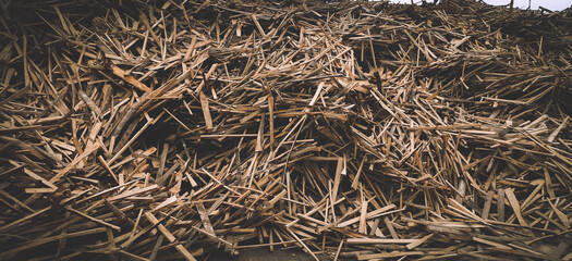 Background of cut logs close up